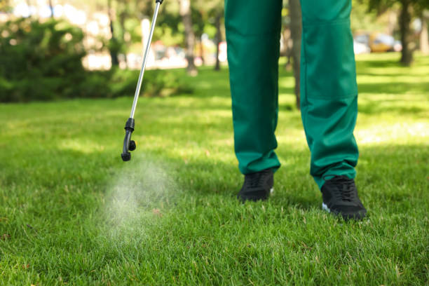 Best Wildlife Control Services  in Heber, UT