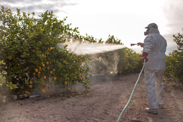 Best Emergency Pest Control  in Heber, UT