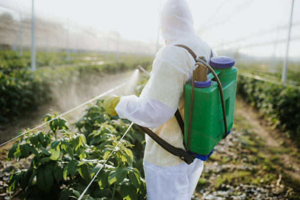 Trusted Heber, UT Pest Control Experts